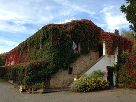 Fattoria St Ottaviano