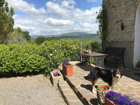 Fattoria St Ottaviano