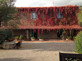 Fattoria St Ottaviano
