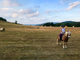 Fattoria St Ottaviano