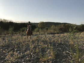Fattoria St Ottaviano