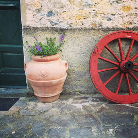 Fattoria St Ottaviano