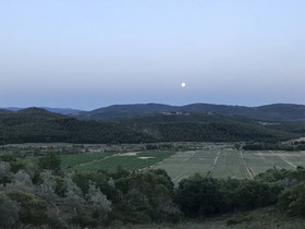 Fattoria St Ottaviano