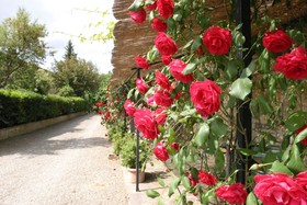 Fattoria St Ottaviano