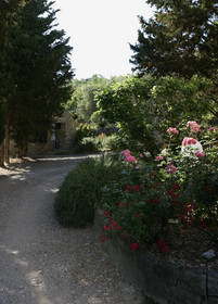 Fattoria St Ottaviano