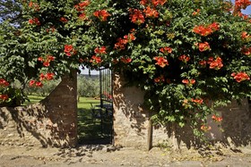 Fattoria di Poggio Capponi