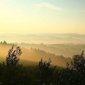 Fattoria di Poggio Capponi