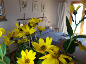 La Rocca Di Montalbino