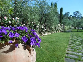 Poggio Rosemary