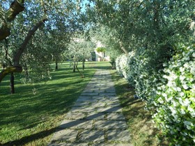 Poggio Rosemary