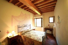 Gatto Bianco Tizzauli