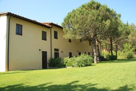 Gatto Bianco Tizzauli