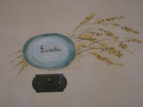 Gatto Bianco Tizzauli