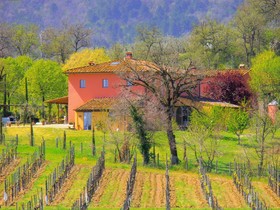 Agriturismo Relais Campiglioni