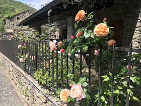 Relais San Filippo In Sogaglia