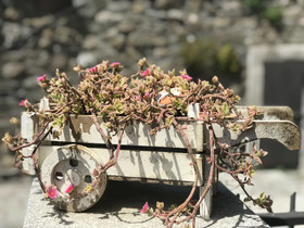 Relais San Filippo In Sogaglia