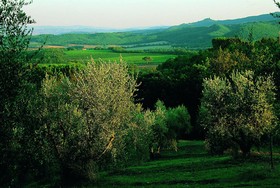 Fattoria Casabianca