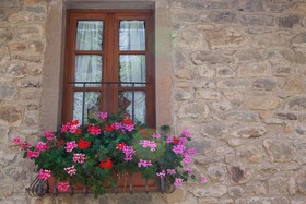 Borgo dei Corsi Holiday House