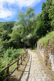 Borgo dei Corsi Holiday House