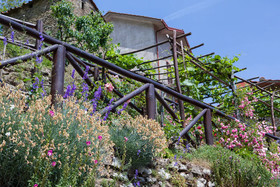 Borgo dei Corsi Holiday House