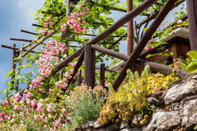 Borgo dei Corsi Holiday House