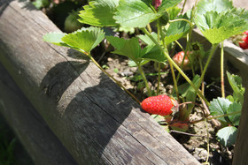 Casa Vacanze 'Le Antiche Pietre