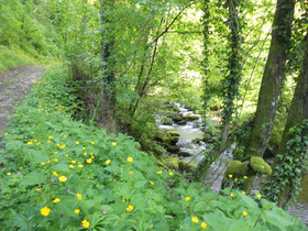 Casa Vacanze 'Le Antiche Pietre