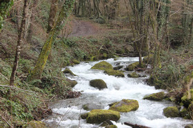 Casa Vacanze 'Le Antiche Pietre