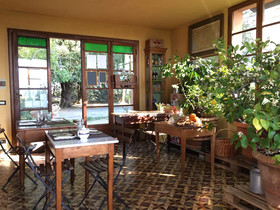 Agriturismo La Palazzina e Orchidea Bed&Breakfast