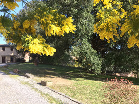 Agriturismo La Palazzina e Orchidea Bed&Breakfast