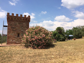 Agriturismo La Palazzina e Orchidea Bed&Breakfast