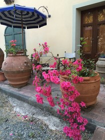 Agriturismo La Palazzina e Orchidea Bed&Breakfast