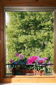 Borgo di Alica