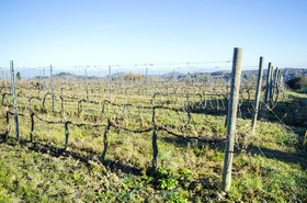 Il Borgo di San Gervasio