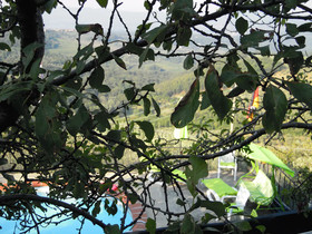 Holiday home Bel Panorama