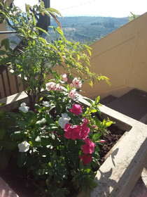 Holiday home Bel Panorama