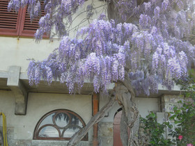 Holiday home Bel Panorama