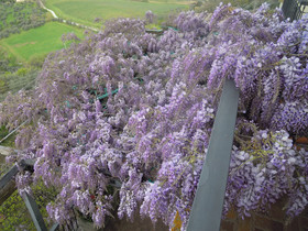 Holiday home Bel Panorama
