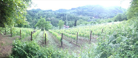 A Casa del Tosi