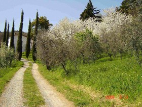 Agriturismo Le Colonne