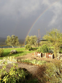 Agriturismo Il Macchione