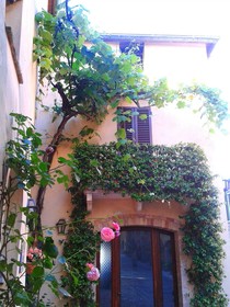B&b Camere La Vite