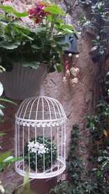 Il Giglio Bed and Breakfast