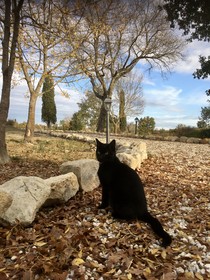 Vento D’Orcia