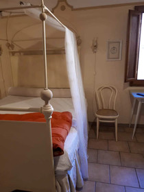 Il Principe Rospo