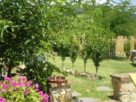 Nido del Merlo