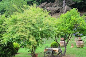 Podere Campofossato