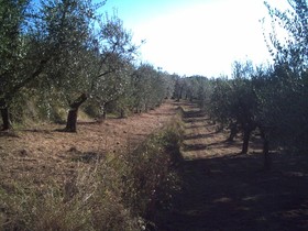 Podere Campofossato