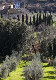 Villa Giorgia Albergo In Collin