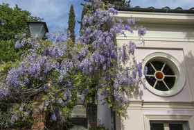 Villa Parri